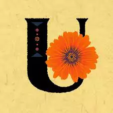u name dp pic